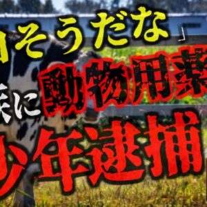 『これ飲ませたら面白いんじゃね？』→父親に悪ふざけで「動物用鎮静剤」を飲ませた少年が逮捕　顔が垂れさがり呼吸困難になる恐ろしい症状【ゆっくり解説】