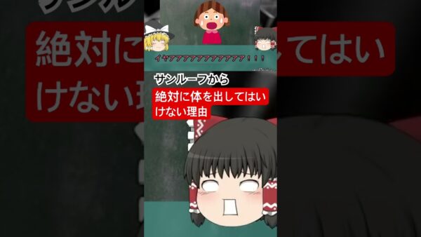 車の窓やサンルーフから絶対に体を出してはいけない理由…女児の頭部が破壊され即4…法律にも大きく影響した事故【ゆっくり解説】 #ゆっくり解説 #交通事故 #ゆっくりするところ