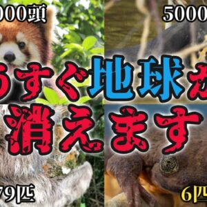 【滅亡】もうすぐ地球から消える…絶滅寸前の生き物7選