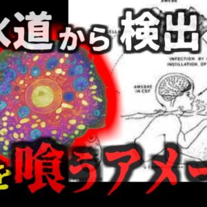 『水道から致死率97％の原生生物』感染すればまず助からない「脳を喰うアメーバ」が発見される 長いパイプラインに溜まった古い水が原因？中国では女児が〇亡する例も【ゆっくり解説】