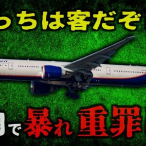 DQN『録画してんじゃねぇ！』離陸後に暴れた女 乗務員が規則説明し注意するも逆ギレ 2名の乗務員に暴行し座席に拘束逮捕 人生終了【ゆっくり解説】