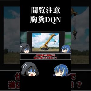 【ゆっくり解説】倫理観のない胸糞DQN #shorts #ゆっくり解説 #dqn #解説