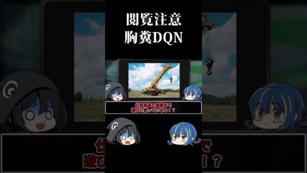 【ゆっくり解説】倫理観のない胸糞DQN #shorts #ゆっくり解説 #dqn #解説