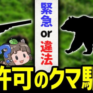 【緊急or違法】危険を感じたハンターが無許可でクマ駆除→これヤバいです…