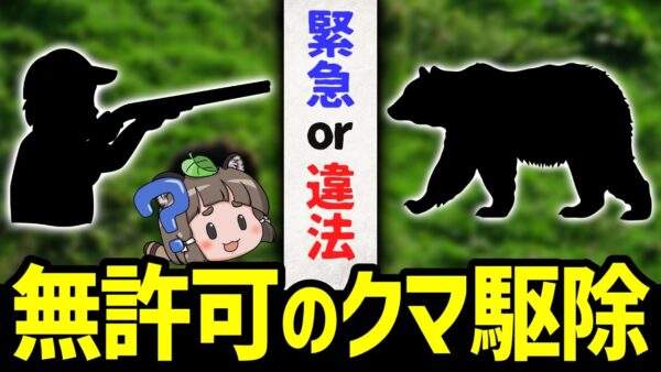 【緊急or違法】危険を感じたハンターが無許可でクマ駆除→これヤバいです…