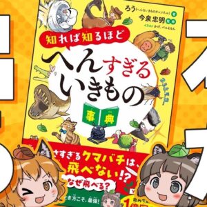 【ついに】新しく本が出ます！！！！！