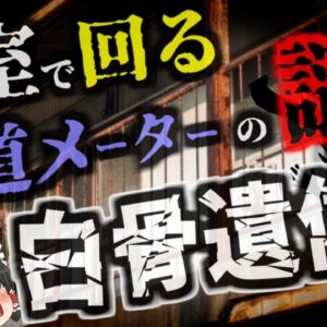『あれ？空き家なのに水道メーターがずっと動いてる…』→調査の結果大家が白骨化した人間を発見 無人のハズの部屋に何故遺体が？【ゆっくり解説】