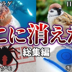 【総集編】あの生き物は今…姿を消した日本の生き物たちまとめ（＋おまけ）