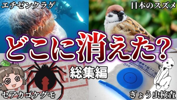 【総集編】あの生き物は今…姿を消した日本の生き物たちまとめ（＋おまけ）