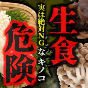 『実は絶対に生で食べてはいけない』一般的なあのキノコも加熱不十分だと様々なリスクが…死亡例は少ないがアレルギーや食中毒、最悪脳炎などのリスクも【ゆっくり解説】