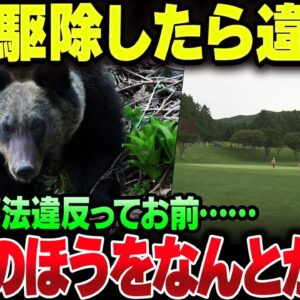 クマを駆除したハンターに鳥獣保護法違反疑惑？緊急なんだから許容してやれよ【ゆっくり解説】
