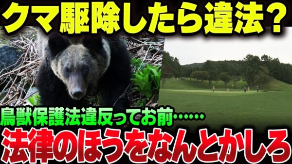 クマを駆除したハンターに鳥獣保護法違反疑惑？緊急なんだから許容してやれよ【ゆっくり解説】