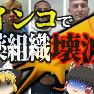 『インコの証言でマフィア崩壊』日常的に覚えさせていたある言葉がきっかけで、密売組織が壊滅 【ゆっくり解説】