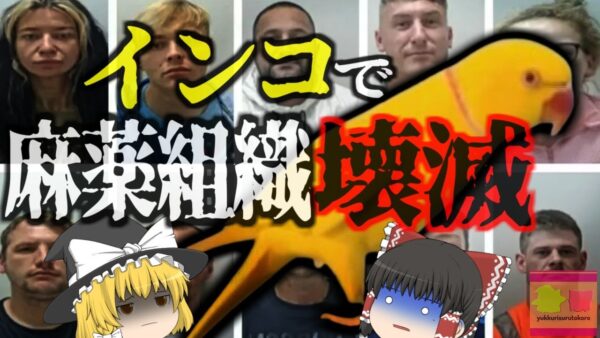 『インコの証言でマフィア崩壊』日常的に覚えさせていたある言葉がきっかけで、密売組織が壊滅 【ゆっくり解説】