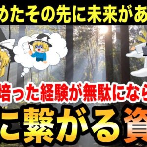 【ゆっくり解説】諦めたその先に未来がある！培った経験は無駄にならない！次に繋がる資格【資格】