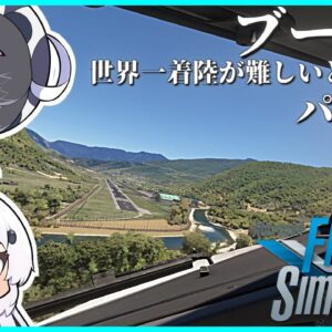 【ミャンマー→ブータンー】超リアルなフライトシミュレーターで世界一周旅行！世界一着陸が難しいパロ空港にチャレンジ！