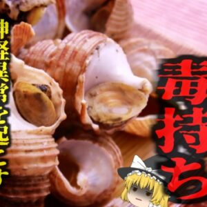 『旬の美味しい貝で命の危機』夏の味覚「つぶ貝」適切な処置をしないと実は危険な毒「テトラミン」物が二重に見えて立てなくなり、手足のしびれや吐き気、腹痛も…【ゆっくり解説】