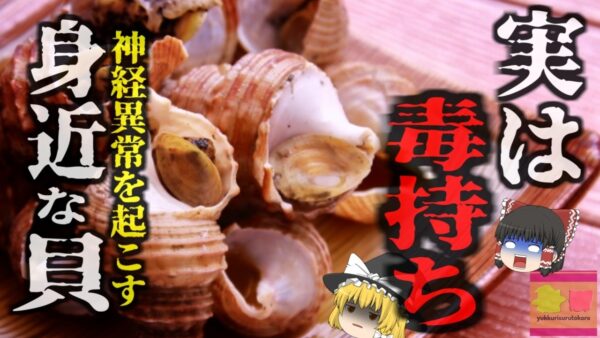 『旬の美味しい貝で命の危機』夏の味覚「つぶ貝」適切な処置をしないと実は危険な毒「テトラミン」物が二重に見えて立てなくなり、手足のしびれや吐き気、腹痛も…【ゆっくり解説】