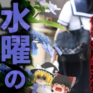 『水曜日に人が消える事件』昭和の佐賀県で複数の女性が消えた謎の事件 なぜか失踪した女性たちは水曜日に居なくなる…【ゆっくり解説】