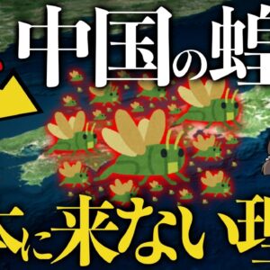 【疑問】なぜ日本で蝗害が起きない？中国から大量のバッタがやって来ない理由