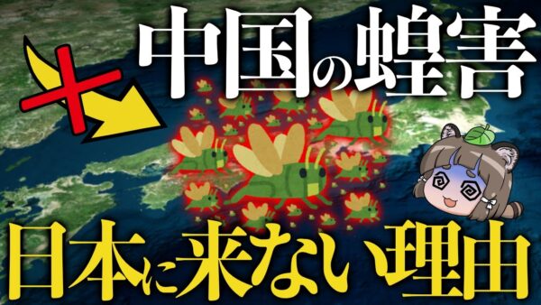 【疑問】なぜ日本で蝗害が起きない？中国から大量のバッタがやって来ない理由