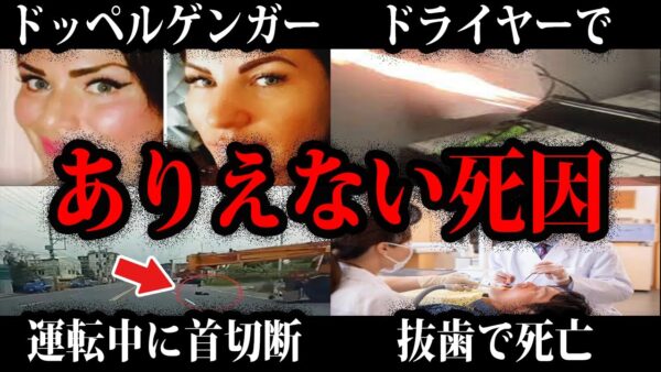 【ゆっくり解説】こんな４に方は絶対嫌だ…本当にあったありえない死因総集編