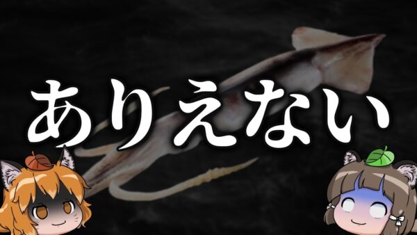 【ありえない】水産庁がマジでヤバいことやってます…