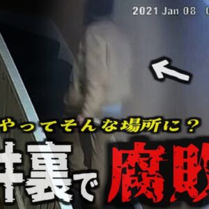 『密室から消えた男性』ドアにはチェーン、監視カメラには入室時の姿のみ…翌月発見された天井裏の腐敗した遺体…【ゆっくり解説】きめぇ丸