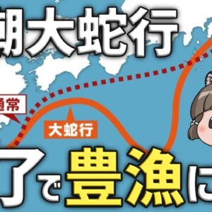 【どうなる？】黒潮大蛇行終了へ…豊漁になるってマジですか？？