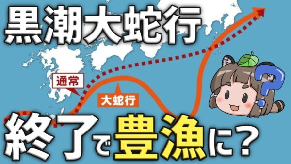 【どうなる？】黒潮大蛇行終了へ…豊漁になるってマジですか？？