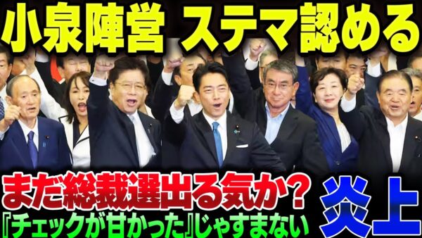 小泉陣営、文春砲のステマを普通に認めてしまう【ゆっくり解説】