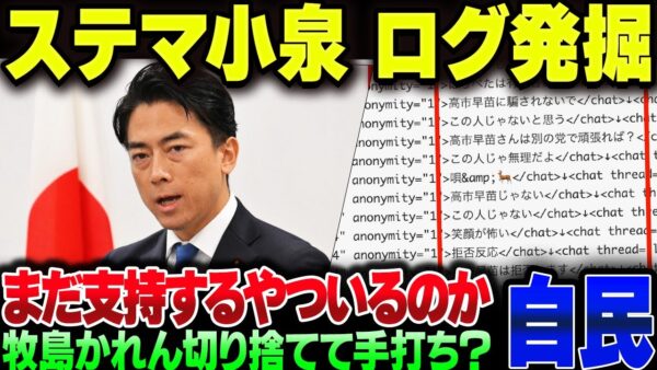 小泉進次郎、ステマ事件のチャットログが掘り起こされる。これでもまだ小泉支持者がいるのが異常だろ【ゆっくり解説】