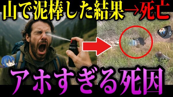 【ゆっくり解説】強盗が逃走中に死亡w本当にあったアホな死因
