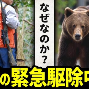 【異常】1日2件の緊急駆除も…北海道でまさかの理由で駆除中止に
