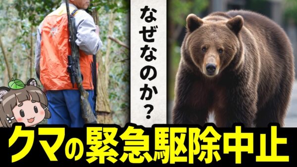 【異常】1日2件の緊急駆除も…北海道でまさかの理由で駆除中止に