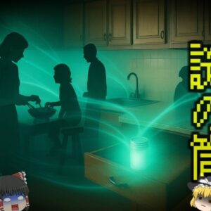 『19583年分の放射線を浴びた少年』10歳の子供が新居に持ち帰ってきた謎の『鉛ケース』次々に家族に異常が現れDNAがグチャグチャに…「1962年メキシコシティ被曝事故」【ゆっくり解説】