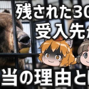 【不安】残り300頭…閉園した動物園の受入先がない本当の理由【ノースサファリサッポロ】