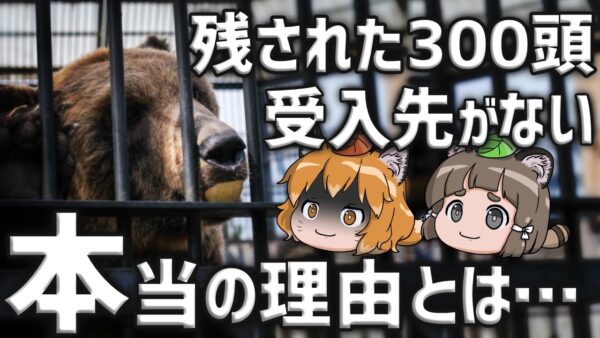 【不安】残り300頭…閉園した動物園の受入先がない本当の理由【ノースサファリサッポロ】