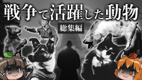 【総集編】人類の闇歴史…戦争で活躍した生き物たち5選