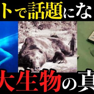 【実在するのか】ネットで有名な巨大生物画像の真実7選