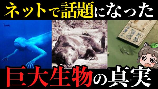 【実在するのか】ネットで有名な巨大生物画像の真実7選