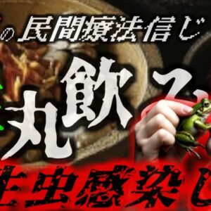 『民間療法で体に寄生虫』「腰痛が治るよ」と言われ生きたカエルを8匹飲み込んだ女性 止まらない嘔吐と激痛 腹部からスパルガヌム（芽殖孤虫）…【ゆっくり解説】
