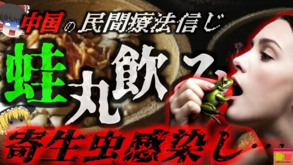 『民間療法で体に寄生虫』「腰痛が治るよ」と言われ生きたカエルを8匹飲み込んだ女性 止まらない嘔吐と激痛 腹部からスパルガヌム（芽殖孤虫）…【ゆっくり解説】