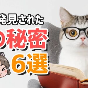 【9割が知らない】近年解明された！？驚きの猫の秘密6選