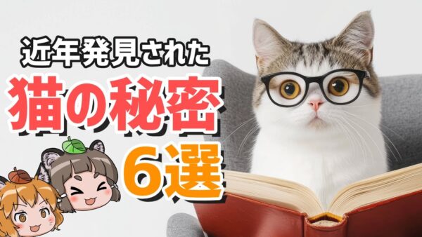 【9割が知らない】近年解明された！？驚きの猫の秘密6選
