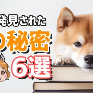 【9割が知らない】近年解明されたばかり！？驚きの犬の秘密6選
