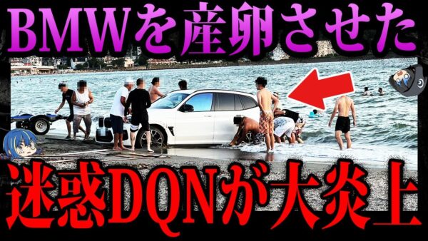 【ゆっくり解説】バカすぎて予測不可能。頭がおかしいDQNのやらかし