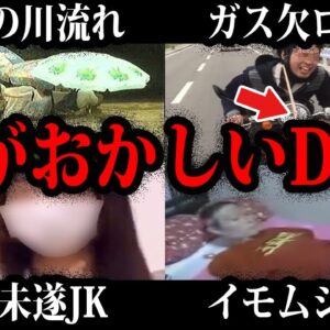 【ゆっくり解説】こいつら頭がおかしい…実在する頭がおかしいDQN総集編