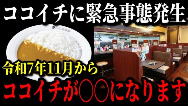 【緊急事態】あのココイチの客離れが止まらない本当の原因が遂に判明…度重なる値上げでユーザーから批判が殺到…【ゆっくり解説】