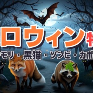 【総集編】吸血コウモリ・黒猫・ゾンビ…ハロウィンにまつわる奇妙な生き物たち